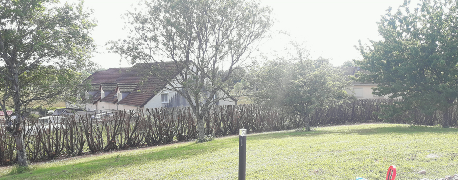Coulon Paysage - Rabatage Haie