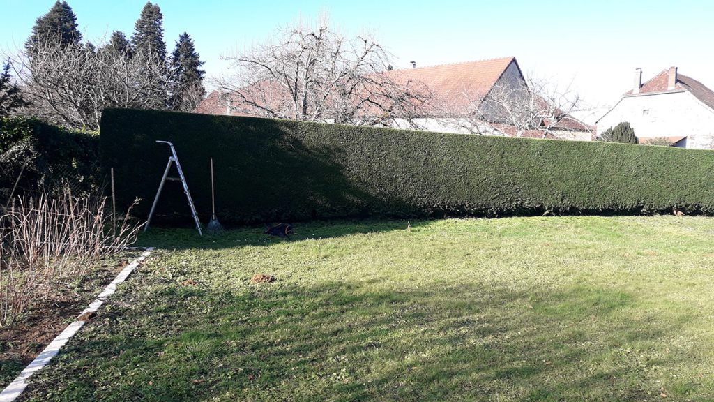 Coulon Paysage - Entretien