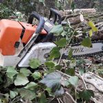 Coulon Paysage - Entretien