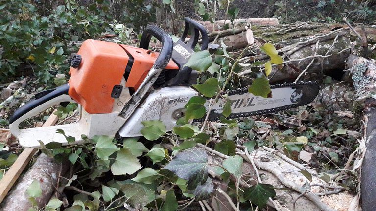 Coulon Paysage - Entretien