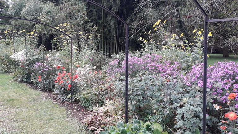 Coulon Paysage - Entretien