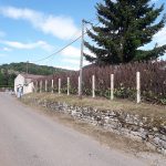 Coulon Paysage - Rabatage Haie